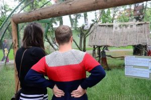 ADP Oradea cumpără lucernă pentru animalele de la Grădina Zoologică