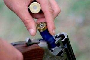 Bărbat de 65 de ani din Cugir cercetat pentru împuşcarea unui cal