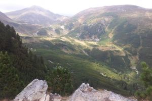 Acţiuni silvice în zona Parcului Naţional Munţii Rodnei. Turişti cehi rătăciţi în Pasul Rotunda