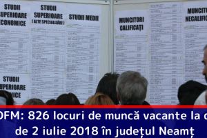 AJOFM: 826 locuri de muncă vacante la data de 2 iulie 2018 în judeţul Neamţ