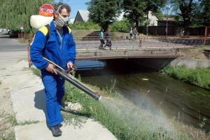 Urmează lucrări de dezintecţie, deratizare şi tratamente fitosanitare în Oradea