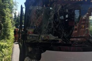 Ce spune presedintele Federatiei Romane de Handbal despre accidentul din Muntenegru. Lotul Romaniei de handbal pe plaja implicat