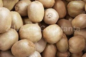 Ce beneficii are pentru sanatate consumul de kiwi (document) 