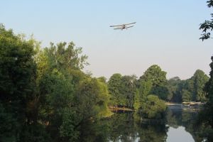 A patra etapă de dezinsecţie pe domeniul public, în perioada 2-3 iulie