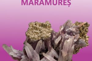 „Flori de mină din Maramureş” la Complexul Muzeal Arad. Ce vor putea admira vizitatorii