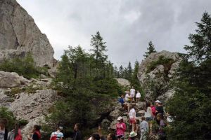 Aproape 50 de şcoli de vară instructive şi relaxante, pe teme variate, pentru elevii suceveni