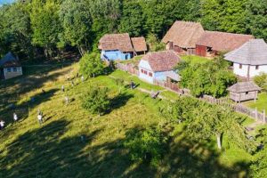 FOTO – Imagini unice din Muzeul în Aer Liber – Miroase a iarbă proaspăt cosită