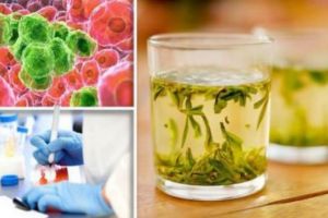 Singurul ceai care distruge celulele canceroase în 48 de ore. Uite cum se prepară