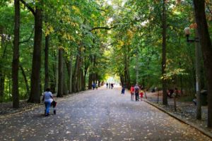 Nesimţire în Trivale!