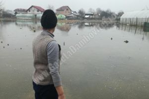 Crucea Roşie a lansat un apel umanitar în sprijinul celor afectaţi de inundaţii. Cum puteţi ajuta