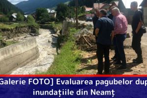 [Galerie FOTO] Evaluarea pagubelor după inundaţiile din Neamţ