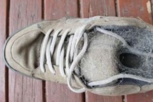 S-a STABILIT cel mai scump PANTOF din lume. Costă o AVERE