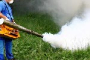 Adio, ţânţari! Dezinsecţia continuă la Moldova Nouă