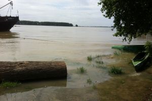 Campanie de strângere de ajutoare pentru sinistraţii inundaţiilor din regiunea Moldovei