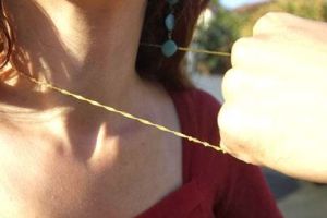 Tâlhărie în hipermarket, la Hunedoara