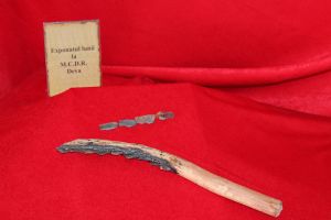 Seceră preistorică descoperită la Șoimuş, expusă la muzeul devean