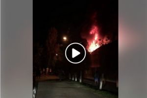 NEWS ALERT/ Incendiu de PROPORȚII în Micălaca! ARDE o casă