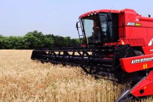 Agricultura pe înţelesul tuturor – Graficul lucrărilor agricole în luna iulie