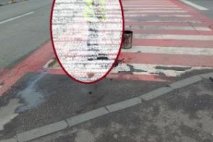 Cum se repară gropile la Cluj! Un muncitor sărea cu picioarele pe asfaltul proaspăt: ”Parcă era Dr. Alban” FOTO