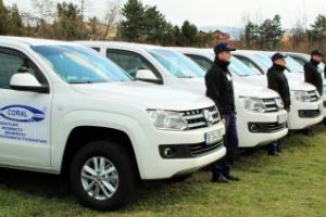 Cluj: Acţiune de dezinsecţie pe domeniul public şi privat în perioada 5 - 31 iulie