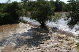 Un bătrân luat de viitură în judeţul Iaşi este de negăsit