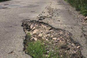 Oaze de verdeaţă: Drumul care duce la Peştera Urşilor a început să… înverzească (FOTO)