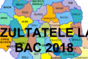 Vezi rezultatele la Examenul de Bacalaureat  2018/ O singura medie de 10 a fost obtinuta in Braila