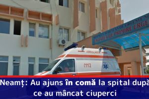 Neamţ: Au ajuns în comă la spital după ce au mâncat ciuperci
