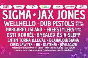 Începe Festivalul Vibe!