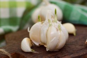 USTUROIUL românesc, DEPORTAT în SIBERIA? O EXPEDIȚIE de cercetători încearcă să DEZLEGE MISTERUL