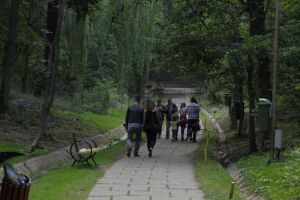 Legea prin care pădurile parc poate fi transferate gratuit la primării a fost aprobată