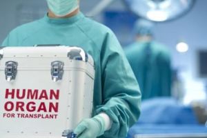 Argeşul, fără donatori de organe