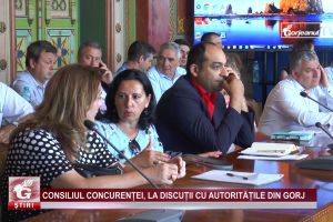 Consiliul Concurenţei, la discuţii cu autorităţile din Gorj