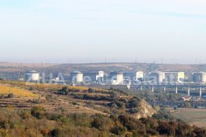 Licitatie la Nuclearelectrica SA: Serviciile de paza civila pentru obiectivele din afara platformei CNE Cernavoda, evaluate la peste 3 milioane de lei (document) 