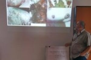 Măsuri speciale impuse de Codul Roşu epidemiologic din cauza pestei porcine africane