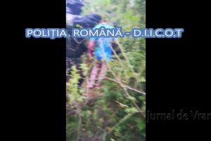 ULTIMĂ ORĂ: Cultură de cannabis, descoperită de DIICOT la Cîrligele! Trei bărbaţi au fost arestaţi preventiv
