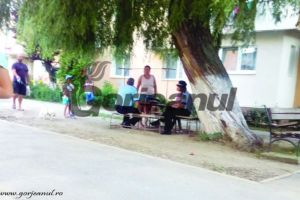 Poliţiştii locali din Bumbeşti-Jiu, puşi să adune  semnături pentru barierele de pe aleea dintre blocuri