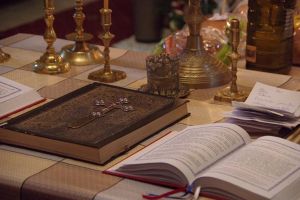 Neghina – zavistia