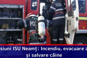 Misiuni ISU Neamţ: Incendiu, evacuare apă şi salvare câine