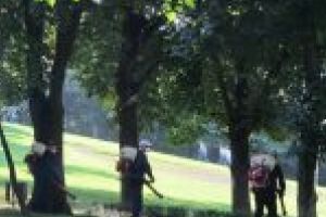 A început a cincea etapă de dezinsecţie pe domeniul public