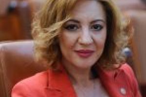 Alina Tănăsescu:  Procedura achitării amenzilor    contravenţionale, simplificată în beneficiul cetăţenilor
