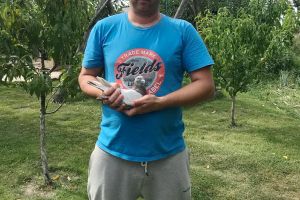 Campionatul porumbeilor voiajori: Familia Szekely a câştigat etapa de fond şi Marius Şandro etapa de viteză