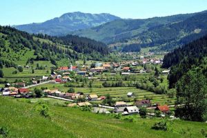 Stema comunei Corbu, ar putea fi aprobată printr-o Hotărâre de Guvern