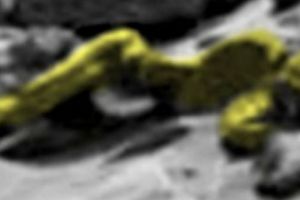 Imagini ŞOCANTE cu un UMANOID descoperit pe Marte. FOTO în articol