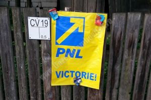 PNL Dâmboviţa, ţinut în viaţă de lupta internă! Este singurul lucru care animă taberele