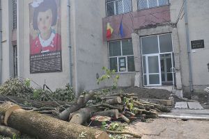 Retrocedările au lovit şi Muzeul de Artă din Bacău