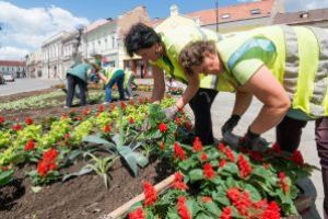 S-a elaborat registrul spaţiilor verzi din Sfântu Gheorghe