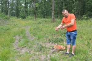 Matematică de pădure: Pădurarul care şi-a denunţat şeful, 