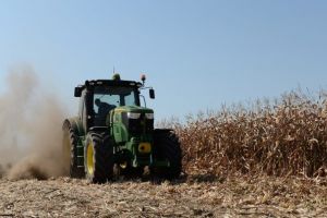 Românii, campionii Europei la diminuarea randamentelor. Agricultorii se aşteaptă la un minus de 20% la toate culturile