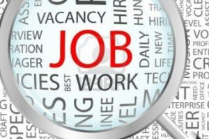 Un ONG caută tineri pe care-i formează ca tâmplari. Salarii de până la 2.000 de lei pe perioada de şcolarizare